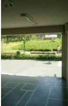 �����̶� ŷ����Ź�ޡ��ƥʥ������ʪ��β���