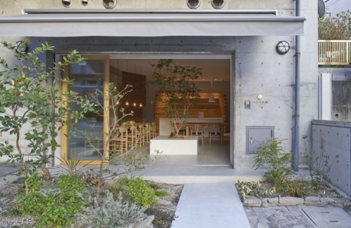 ˭��� ��ϩ��Ź�ޡ��ƥʥ������ʪ��β���