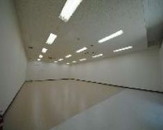 ��������� ������Ź�ޡ��ƥʥ������ʪ��β���