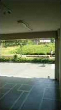 �����̶� ��Į��Ź�ޡ��ƥʥ������ʪ��β���