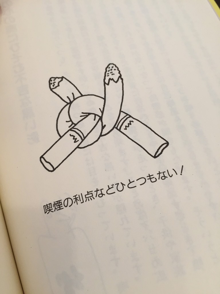 �����̶� ���Ĥ�Ź�ޡ��ƥʥ������ʪ��δּ�����