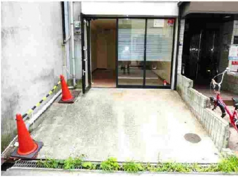 ��������� Ĺ�ٶ���Ź�ޡ��ƥʥ������ʪ��β���