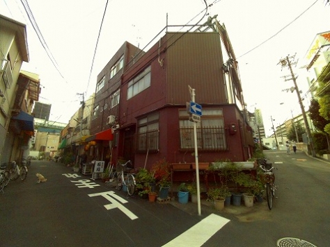 ���������� �ж���Ź�ޡ��ƥʥ������ʪ��β���