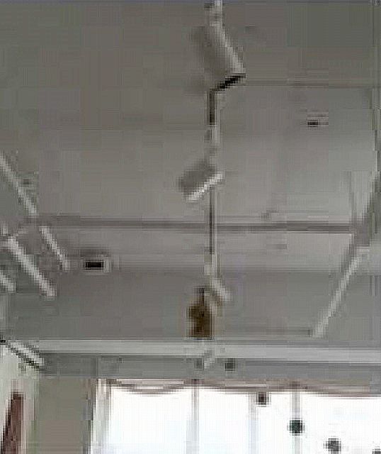 �������� ��嶶��Ź�ޡ��ƥʥ������ʪ��δּ�����