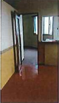 �����̶� ����Ź�ޡ��ƥʥ������ʪ��β���