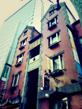 �����̶� �����Ĥ�Ź�ޡ��ƥʥ�����ߤβ���