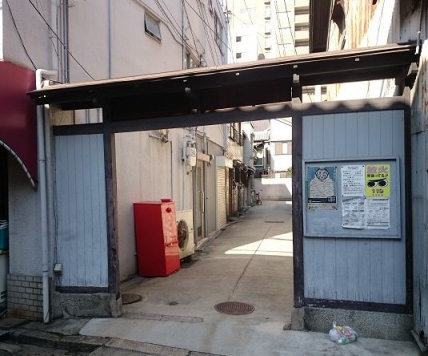 �����̶� ���Į��Ź�ޡ��ƥʥ������ʪ��β���