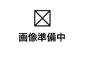 ����ŷ������ ����Į��Ź�ޡ��ƥʥ������ʪ��δּ�����