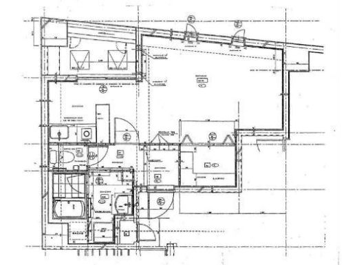 �����̶� �Į��Ź�ޡ��ƥʥ������ʪ��δּ�����