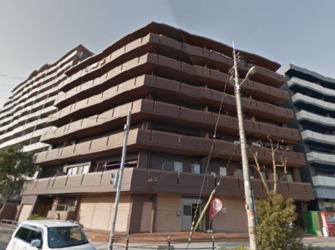 �����̶� ʡ���Ź�ޡ��ƥʥ������ʪ��β���