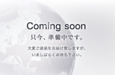 �������� �ͥĶ���Ź�ޡ��ƥʥ�����ߤβ���