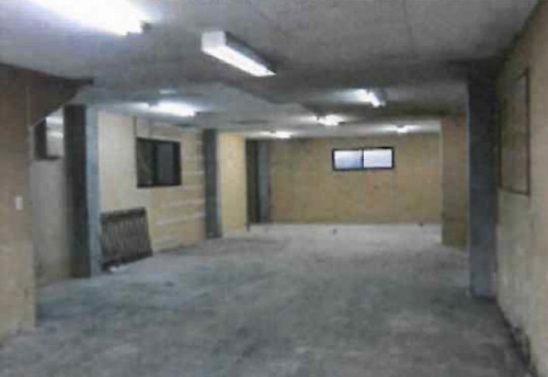 �����̶� ŷ����Ź�ޡ��ƥʥ������ʪ��β���