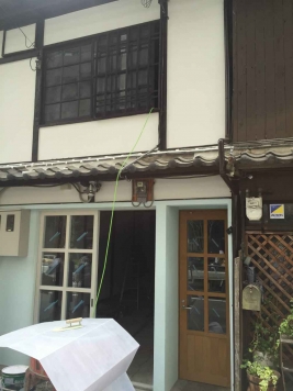 �����̶� ���Į��Ź�ޡ��ƥʥ������ʪ��β���