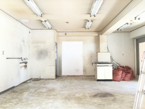 �����̶� ��Į��Ź�ޡ��ƥʥ������ʪ��β���