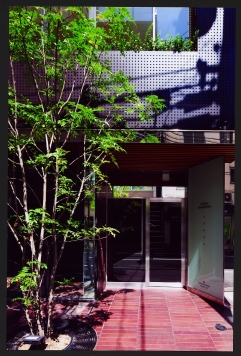 ��������� �����Į��Ź�ޡ��ƥʥ������ʪ��β���