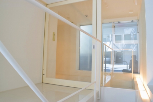 �����̶� ŷ������Ź�ޡ��ƥʥ������ʪ��β���