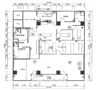 �������� �ͥĶ���Ź�ޡ��ƥʥ�����ߤβ���