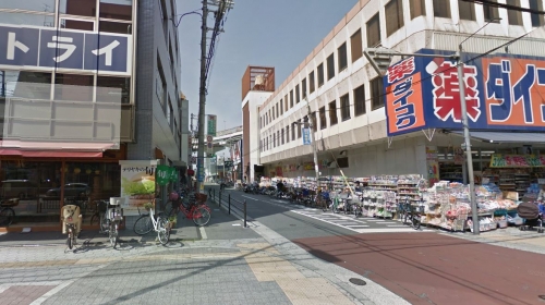 ����ʿ��� ʿ���Ź�ޡ��ƥʥ������ʪ��β���