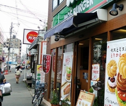 ���Ļ� ��������Ź�ޡ��ƥʥ������ʪ��β���