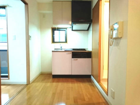 ��������� ëĮ�����ܤ�Ź�ޡ��ƥʥ������ʪ��β���