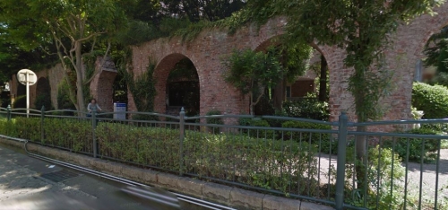 ���Ծ���� ������Ź�ޡ��ƥʥ������ʪ��β���