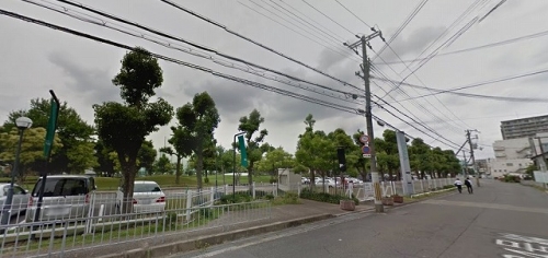 ���Ļ� �����Ź�ޡ��ƥʥ������ʪ��β���