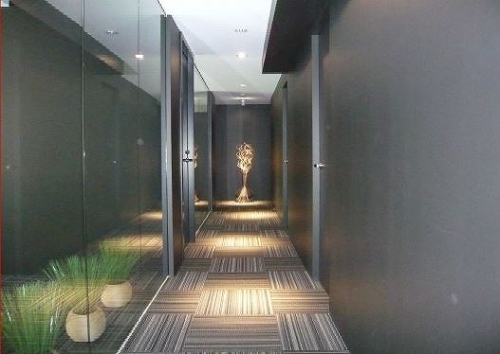 ��������� ���ض���Ź�ޡ��ƥʥ������ʪ��β���