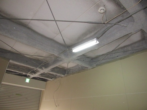 ����ϲ®�� �ʤ�Ф�Ź�ޡ��ƥʥ������ʪ��β���