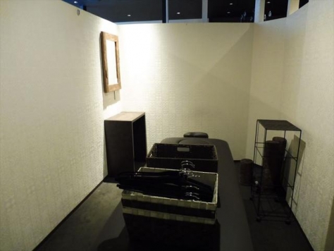 ��������� �����Į��Ź�ޡ��ƥʥ������ʪ��β���