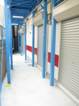 �����̶� ���Į��Ź�ޡ��ƥʥ������ʪ��β���