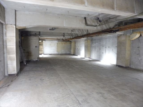 ��������� �����Į��Ź�ޡ��ƥʥ������ʪ��β���