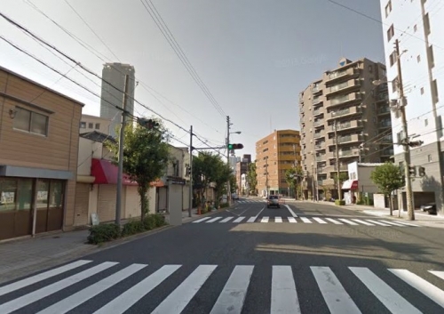 �����̶� ʡ���Ź�ޡ��ƥʥ������ʪ��β���