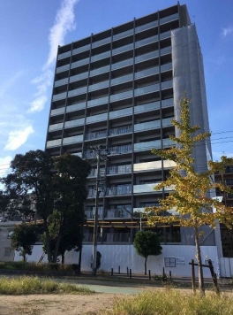 ���Թ��� ��ŷĮ��Ź�ޡ��ƥʥ������ʪ��β���