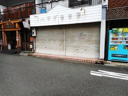 ���Ծ���� ���Ź�ޡ��ƥʥ������ʪ��β���