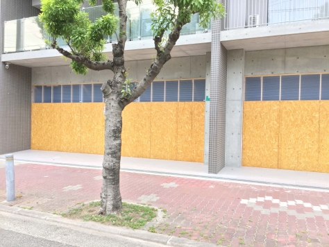 ���Թ��� ��ŷĮ��Ź�ޡ��ƥʥ������ʪ��β���