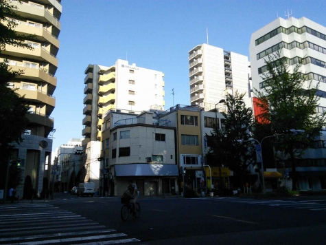  嶶Źޡƥʥʪβ