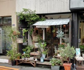 ��������� ëĮϻ���ܤ�Ź�ޡ��ƥʥ�����ߤβ���