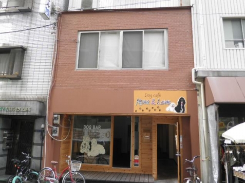 ��������� ����Į��Ź�ޡ��ƥʥ�����ߤβ���