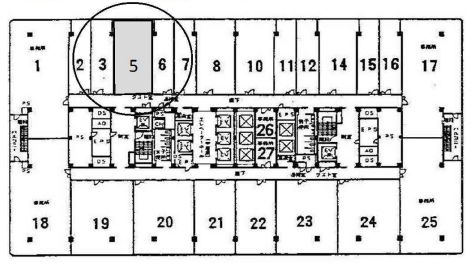 �����̶� ����Ź�ޡ��ƥʥ������ʪ��δּ�����