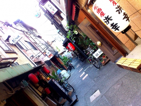 ��������� ���ܶ���Ź�ޡ��ƥʥ������ʪ��β���