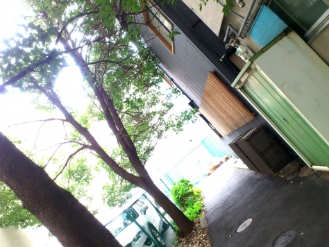 �����̶� �̿��Ϥ�Ź�ޡ��ƥʥ������ʪ��β���