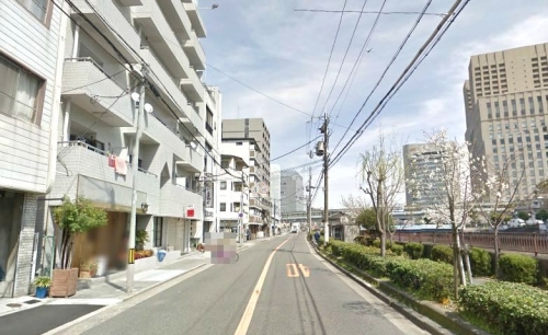 ��������� ������Ź�ޡ��ƥʥ������ʪ��β���