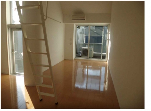 ��������� ���ض���Ź�ޡ��ƥʥ������ʪ��β���