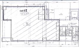 ��������� �䲰����Ź�ޡ��ƥʥ������ʪ��δּ�����