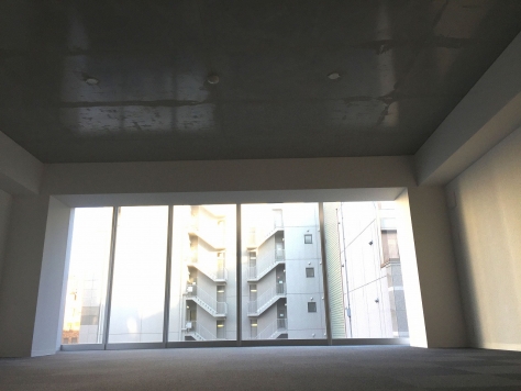 ��������� ���ض���Ź�ޡ��ƥʥ������ʪ��β���