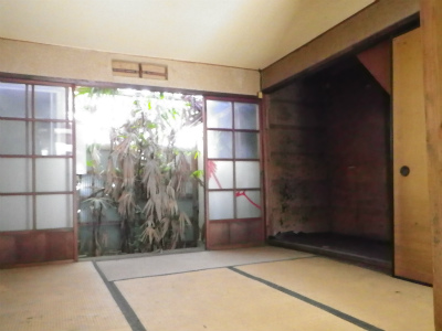 �����̶� ���Į��Ź�ޡ��ƥʥ������ʪ��β���