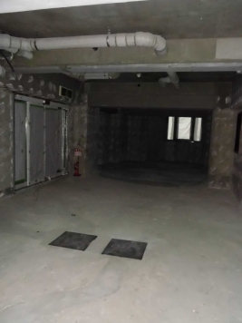 �������� ��嶶��Ź�ޡ��ƥʥ�����ߤβ���