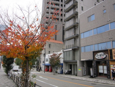 �����̶� ��嶶��Ź�ޡ��ƥʥ������ʪ��β���